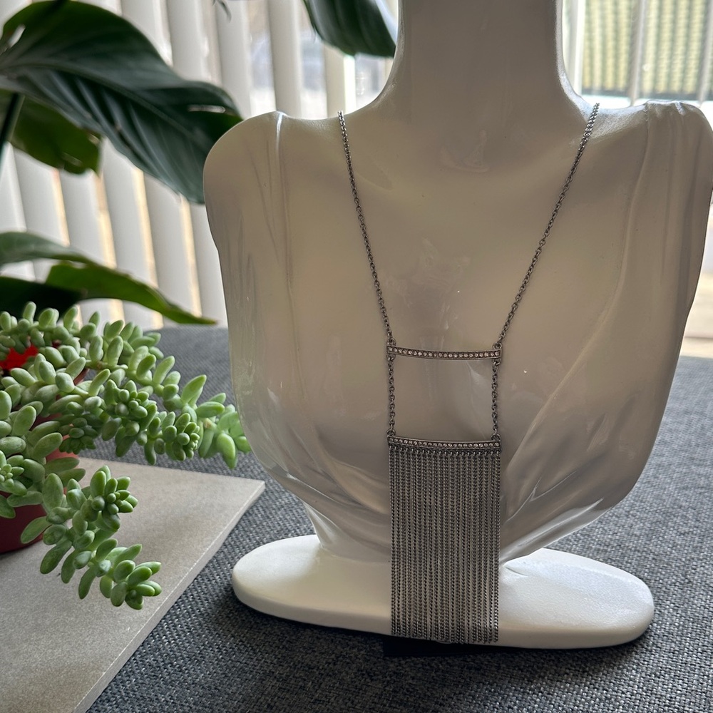 NWT Banana Republic Silver Fringe Necklace